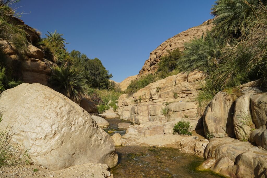 Todra Gorge Morocco